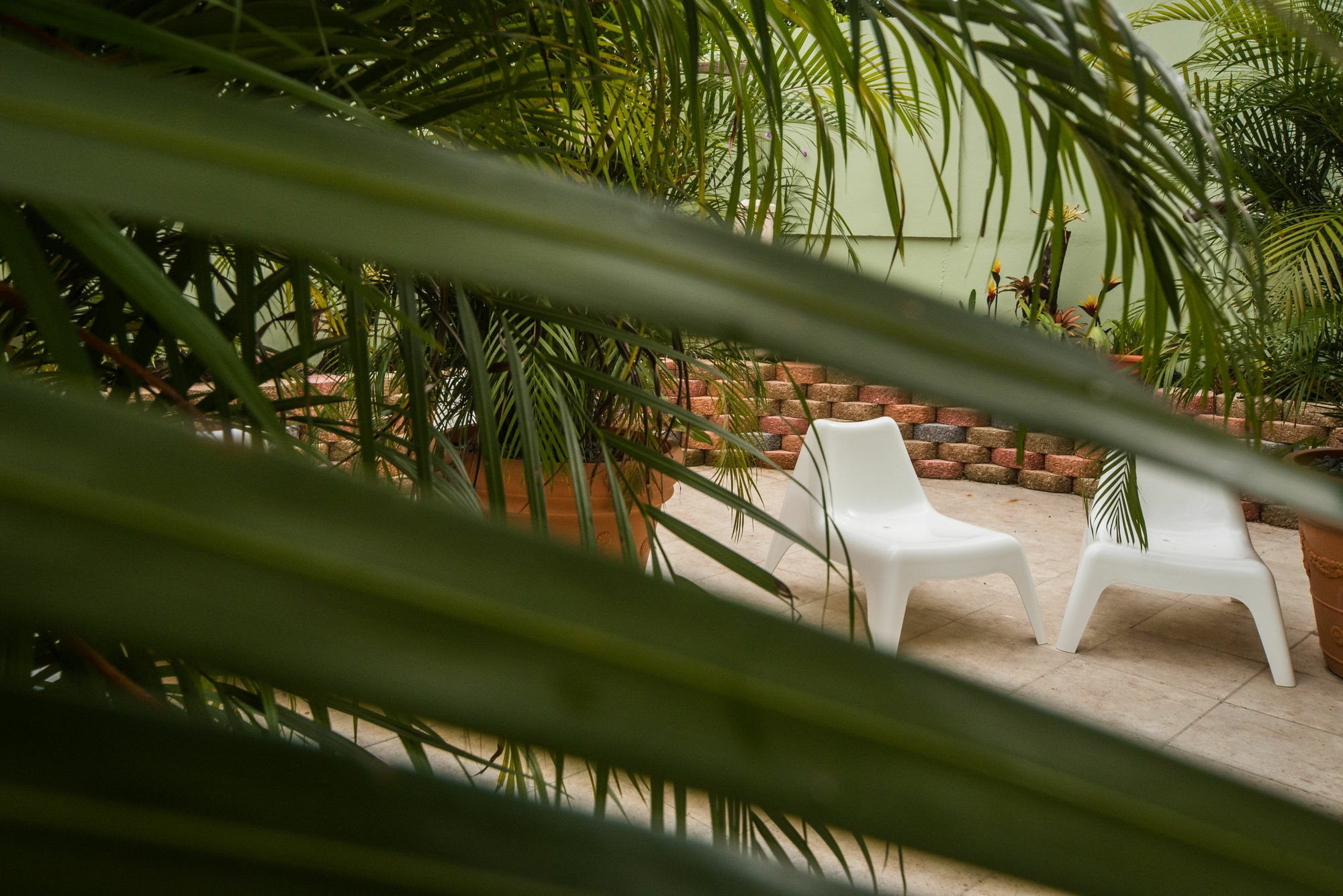 Rincon Plaza Hotel Экстерьер фото